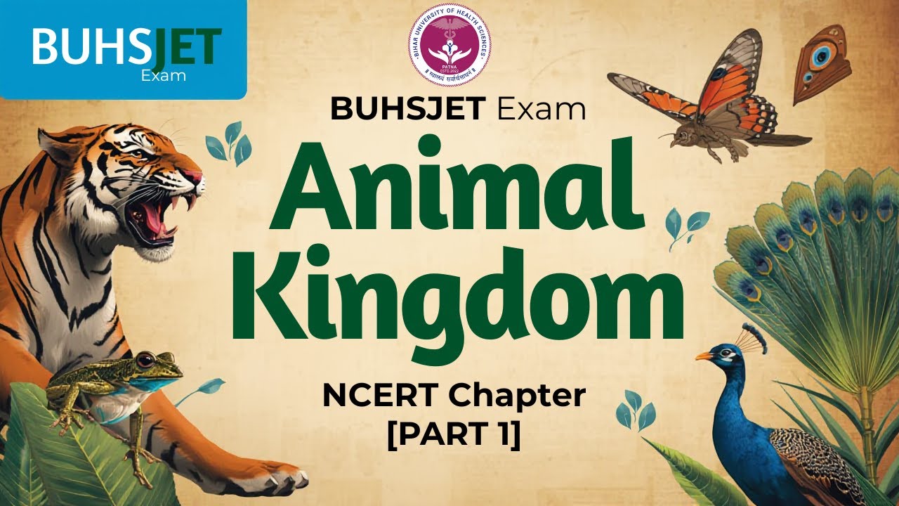 ANIMAL KINGDOM Part 1 BUHSJET exam