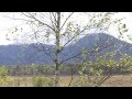 【作業用BGM・勉強用BGM】ウクレレで奏でる癒しのジブリメドレー Ukulele relaxation BGM Studio Ghibli medley  烏克麗麗BGM