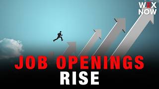Job openings rise to highest level in nearly two years