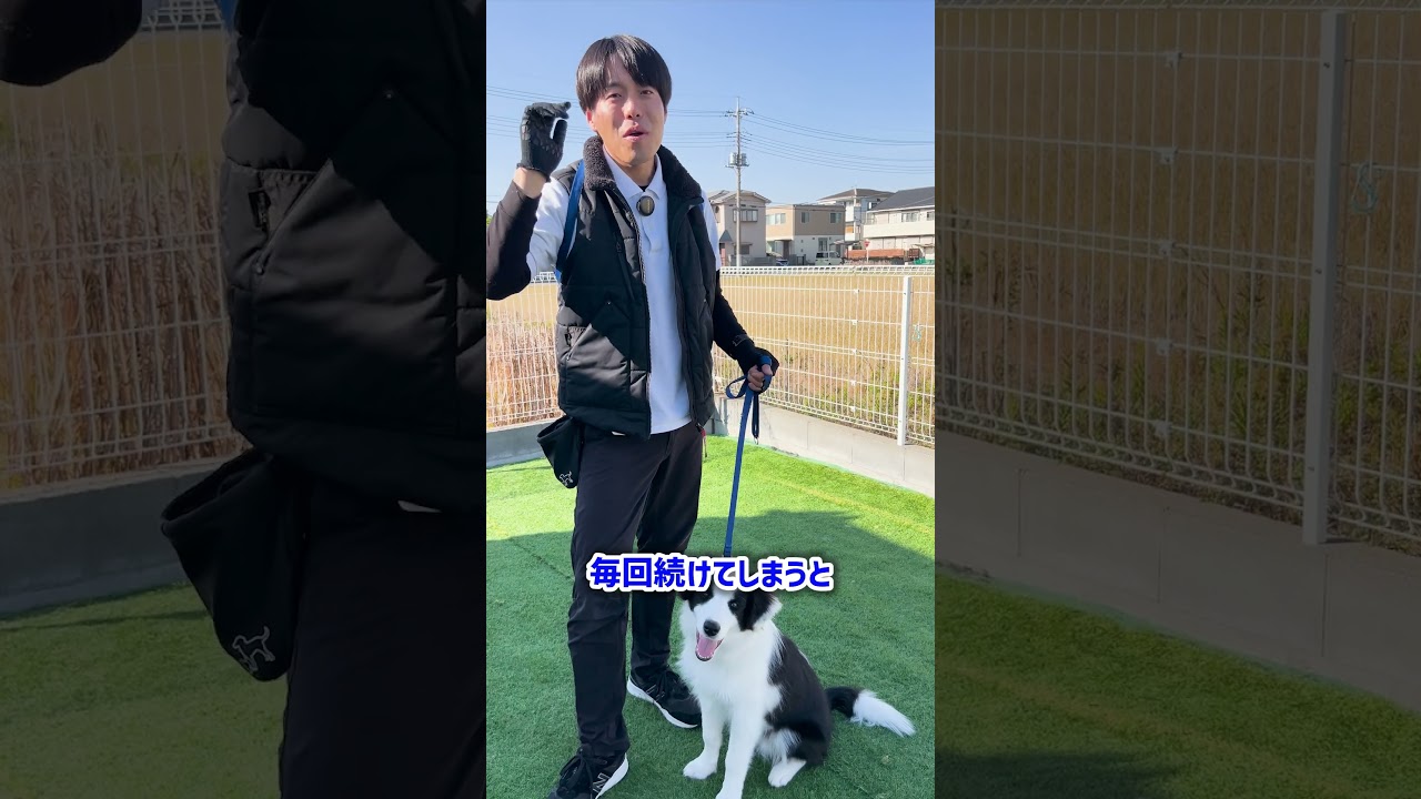 待ての教え方 - YouTube