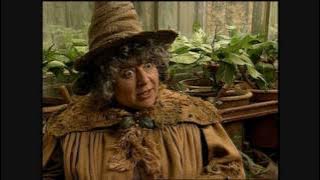 Harry Potter and the Chamber of Secrets - Miriam Margolyes short interview