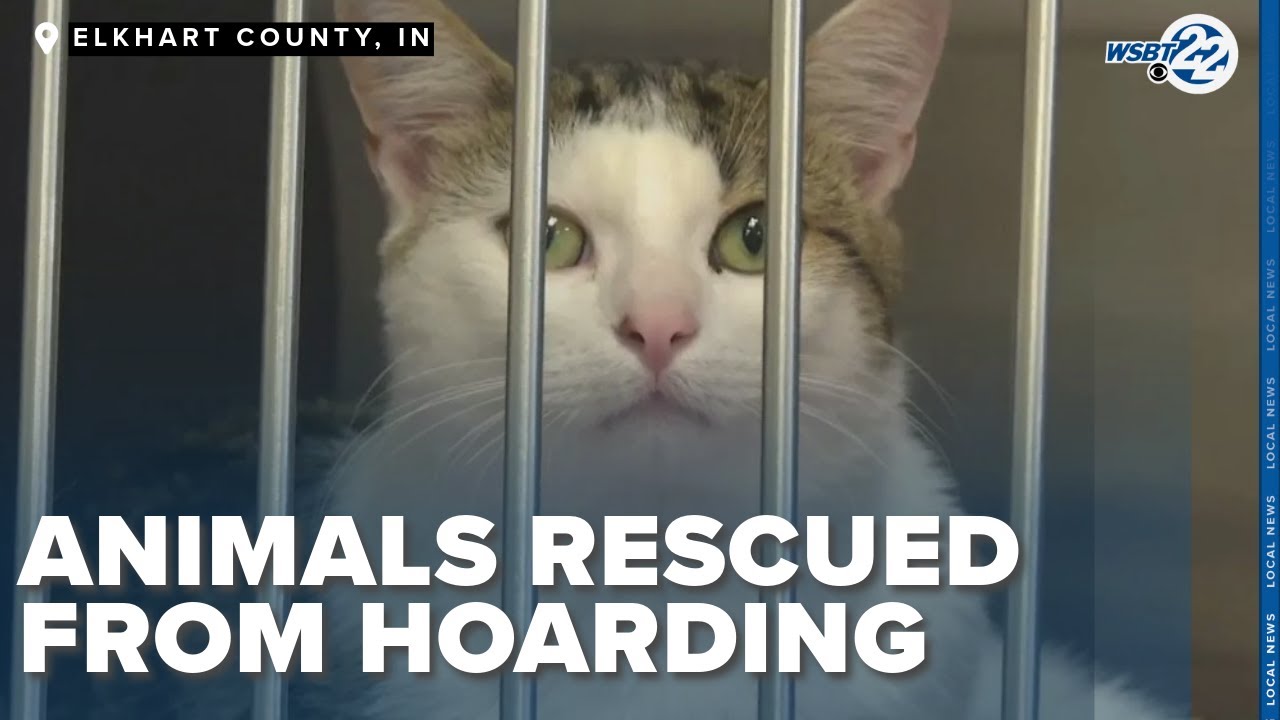 Indiana Humane Society seeks community help after sudden influx of rescued animals