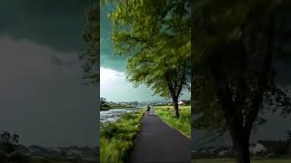 Relaxing Coastal Ambience 🌳🌊