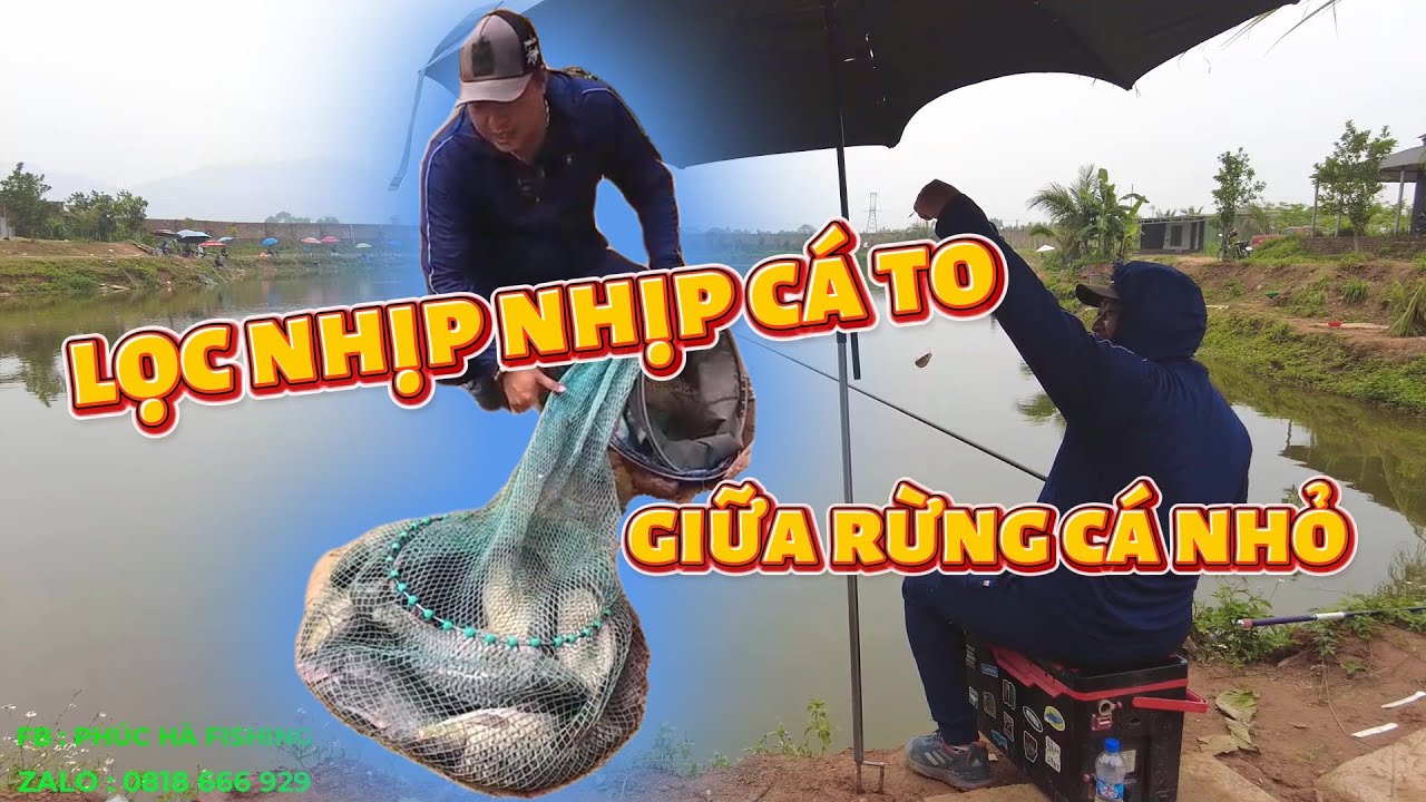 LỌC NHỊP CÁ TO - CÁCH DÒ ĐÁY CHỌN MỨC NƯỚC CÂU CÁ CHÉP MỚI - PHÚC HÀ FISHING