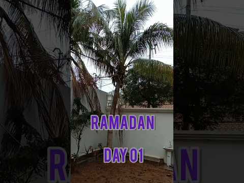 Ramadan Day 01 Ramadan Karachi Weather Study Quran Tasbih Iftar 