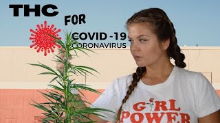 Covid-19 & Cannabis | How THC Can Help