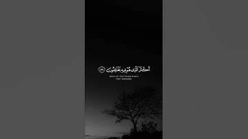وإن ربك ليعلم ما تكن صدورهم وما يعلنون//القارئ احمد النفيس kkknn @