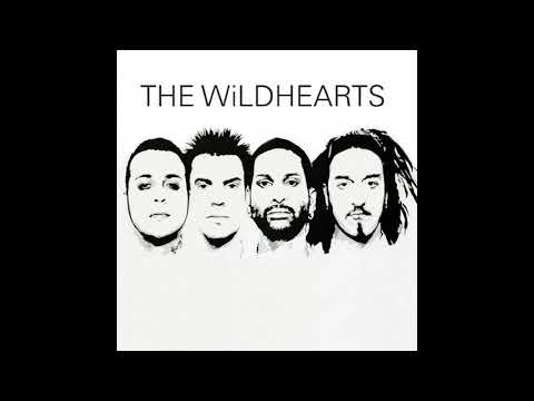 The Wildhearts - Rooting for the Bad Guy