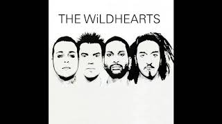Watch Wildhearts Rooting For The Bad Guy video