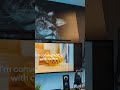 My Google Assistants had so much fun while I was  watching Google Event #shorts