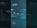 What happens when two bubble rings collide underwater #science #experiment #water #bubble