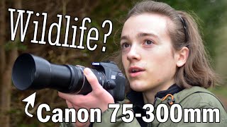 Can This Cheap Lens Take Awesome Wildlife Photos?