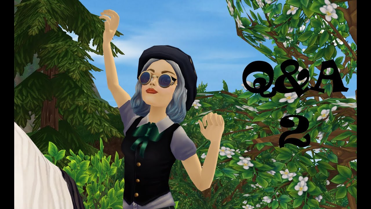 Q&A 2 | Special na 3000 subów |