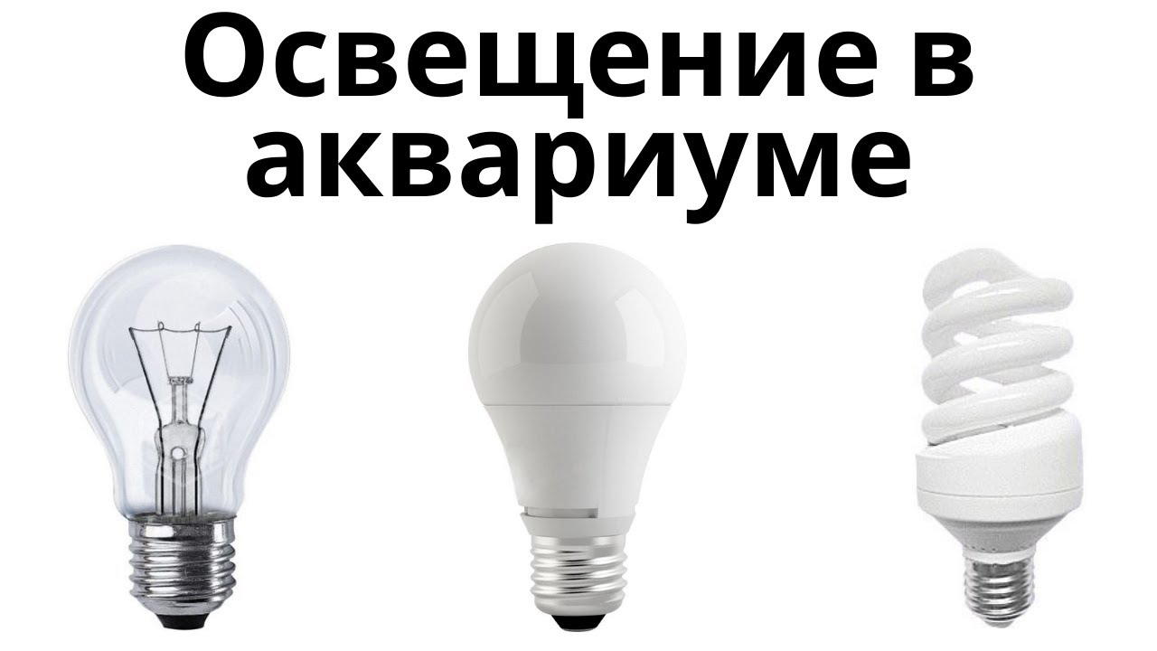 Освещение в аквариуме. Спектр, яркость освещения, количество часов.