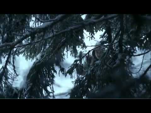 მგლები! ამ ვიდეომ შეძრა მსოფლიო