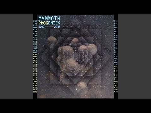 Paradigm auf YouTube ansehen Paradigm auf YouTube ansehen