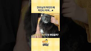 노견도 사랑받을 기회는 있어야 하잖아요  #kb손해보험 #유기견 #반려동물 #동물자유연대