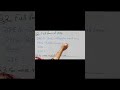 Digital image processing... full form of JPEG, PNG, Filter use.....