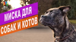 Миска для собак и котов | Обзор миски для собак и котов Миска для собак и котов | Обзор миски для собак и котов