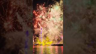 The BEST thing I’ve ever spent money on in Walt Disney World!! Epcot Fireworks Cruise #epcot