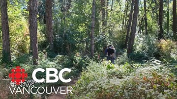 Volunteers clear invasive ivy to help Indigenous plants thrive