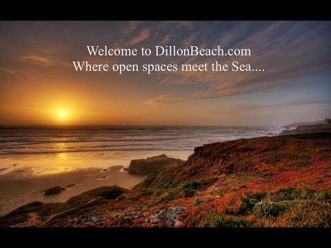 Video: Dillon Beach u Kaliforniji