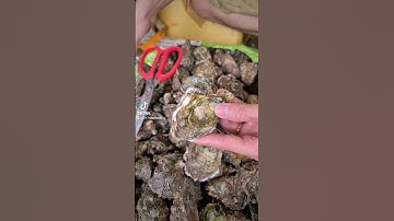 cách tách vỏ hàu sữa sống