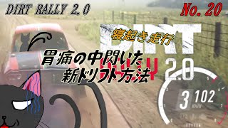 「DiRT Rally 2.0」20