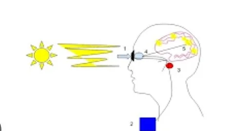 |Restoring Vision: The Future of Bionic Eyes||Bionic Eyes: Revolutionizing Vision Restoration|