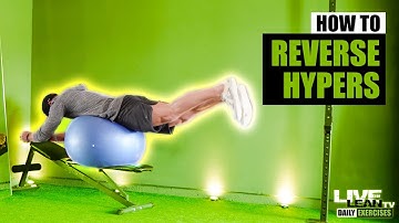 How To Do A Swiss Ball Reverse Hyperextension On Bench | Exercise Demonstration Video and Guide
