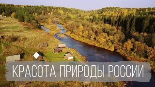 Пролетая от Москвы до Белого моря [Fimi X8 SE] Relax video - The nature of Russia