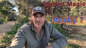 Where the Garden Magic Really Happens. The Edge Effect, Permaculture Principle 11- Gazza the Green