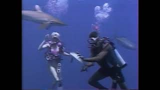 Scuba Diving With Sharks 1990S