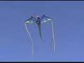 3-D Nylon Blue Dragon Kite