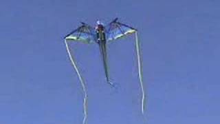 3-D Nylon Blue Dragon Kite