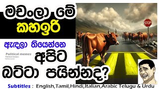 Lesson 442–අප්පච්චිට හොරා කියන 3% කුහකයෝ කවුද  -English in Sinhala |  Ideal guide to English