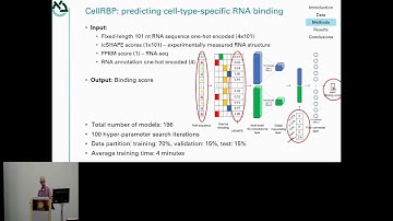 CellRBP: Improving Protein-RNA Binding Prediction In Vivo... - Yaron Orenstein - iRNA - ISMB 2024