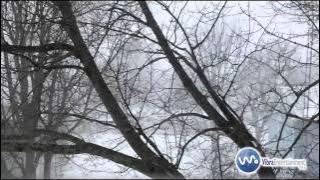 Pista Pastores Venid/A Belén Pastores