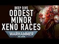 Creepy minor xenos in warhammer 40k deep dive