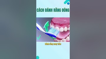 Hình ảnh về cách ĐÁNH RĂNG ĐÚNG #drcuong #nhakhoa #rangsua