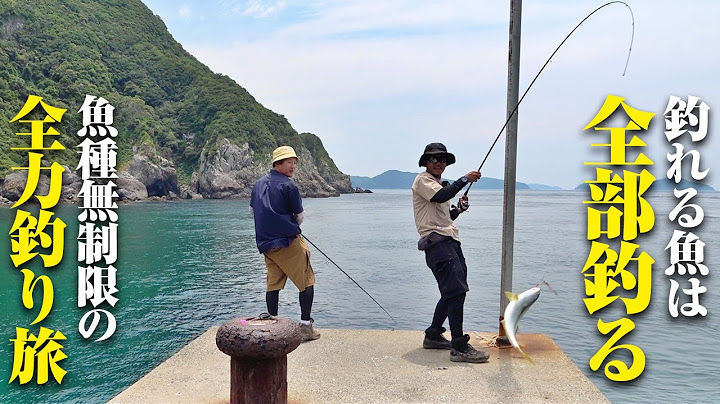 釣りバカ2名による全力釣り旅！！堤防に押し寄せる青物の大群、深夜の奇跡に荒磯の王者…あらゆる魚が釣れた伝説の旅になった件。