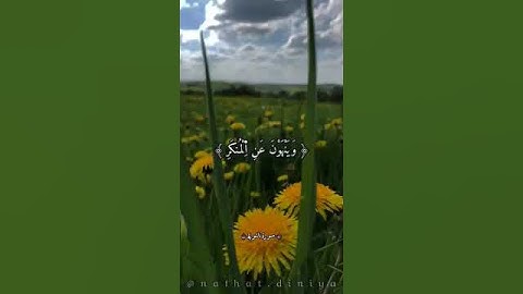 #تلاوة من عالم آخــــــر 😍❤ | زكرياء سريري