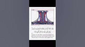 {‏وَلَقَد خَلَقنَا الْإِنسَانَ وَنَعْلَمُ مَا تُوَسْوِسُ بِهِ نَفْسُهُ} #سورة_ق #ياسر_الدوسري #quran