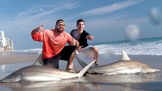Shark Fishing with Dude Perfect