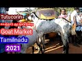கயத்தார் ஆட்டுச்சந்தை 2021 - Goat Market Tamilnadu(Tutucorin) - Tamil Vivasayi - கன்னி ஆடு வேலி ஆடு