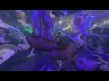 VR180 3D - Jellyfish at Mandalay Bay Shark Reef Aquarium - Las Vegas, Nevada USA