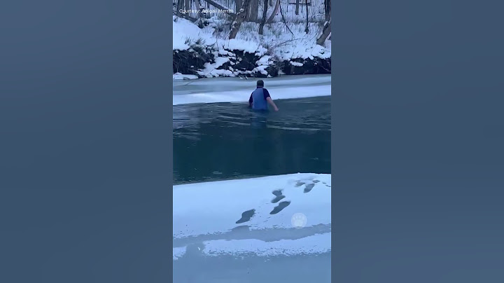 Man Named Chris Macritchie Saves Dog From Freezing River #dogs #heroic