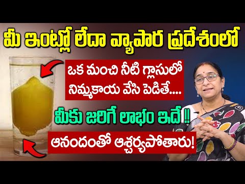 Ramaa Raavi - Vasthu Tips || Lemon Water Glass Vasthu Tips || Negitive Energy || SumanTV Mom