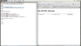 How to Horizontally Center an Input Value in HTML