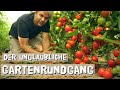 Exotisches Obst und Gemüse, dass du in Deutschland anbauen kannst.